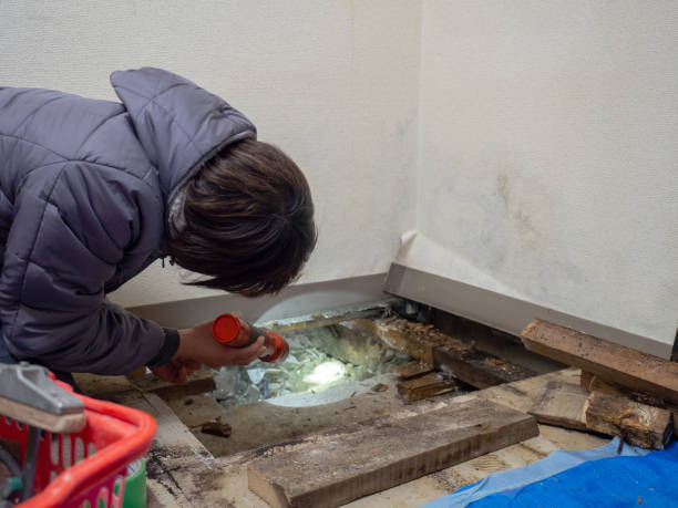 Finley, WA Mold Removal Company