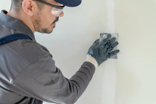 Best Attic Mold Removal  in Finley, WA