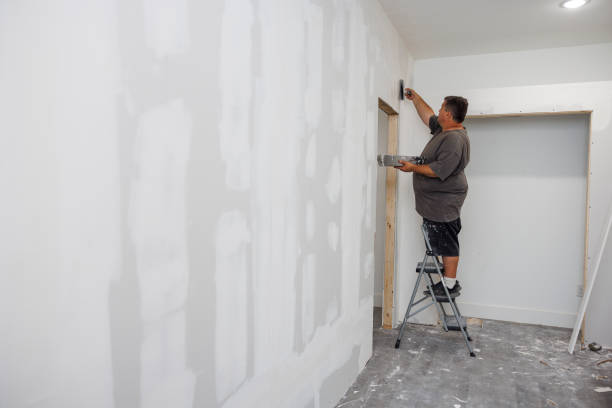 Best Mold Odor Removal Services  in Finley, WA