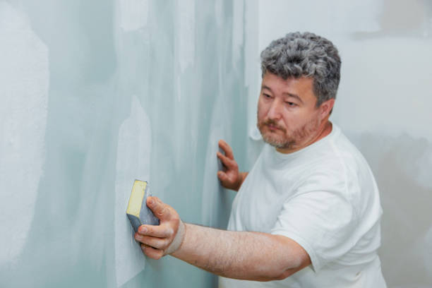 Best Basement Mold Removal  in Finley, WA