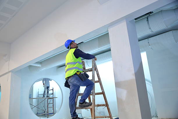 Best Mold Damage Restoration  in Finley, WA